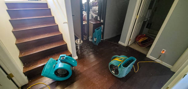 Best Water damage restoration mold remediation  in Farmland, IN