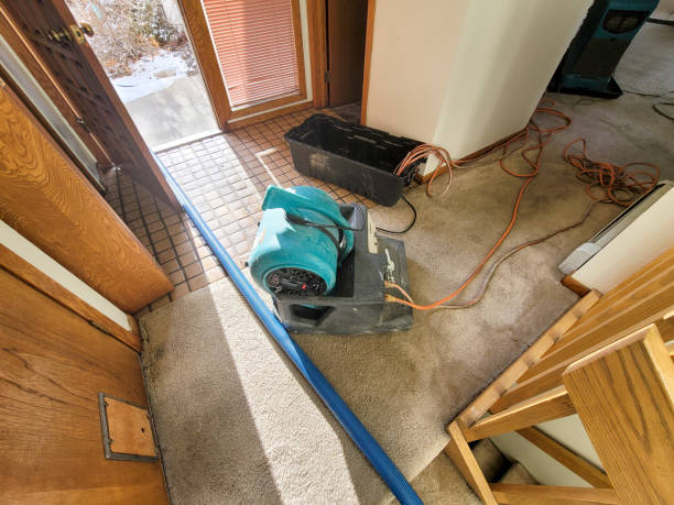 Best Ceiling water damage repair  in Farmland, IN