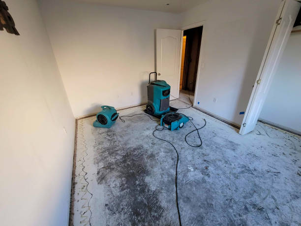 Best Carpet water damage restoration  in Farmland, IN