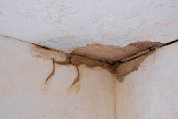 Best Water damage mitigation services  in Farmland, IN