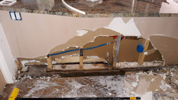 Best Flood restoration services  in Farmland, IN