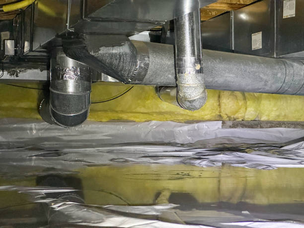 Best Commercial water damage restoration  in Farmland, IN