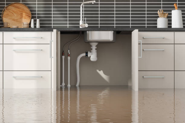 Reliable Farmland, IN Water damage restoration Solutions