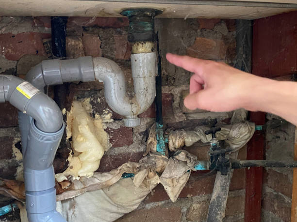 Water damage restoration mold remediation in Farmland, IN