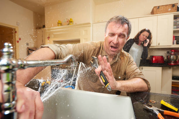 Best Fire Damage Restoration  in Farmland, IN